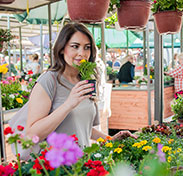 Étiquettes horticoles